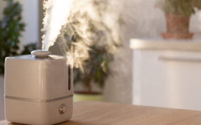 Guide to Types of Humidifiers: Choosing One for 2022 and Beyond